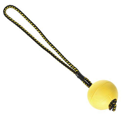 Una palla di gomma con un magnete con un manico di corda - eurodog