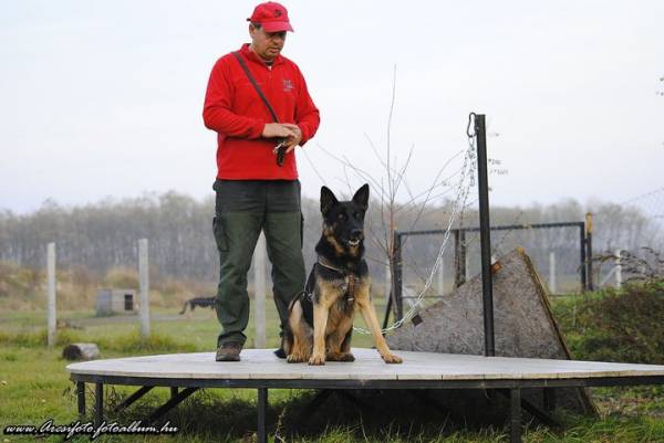 esempio Moschettone Panico Sgancio rapido per cani eurodog