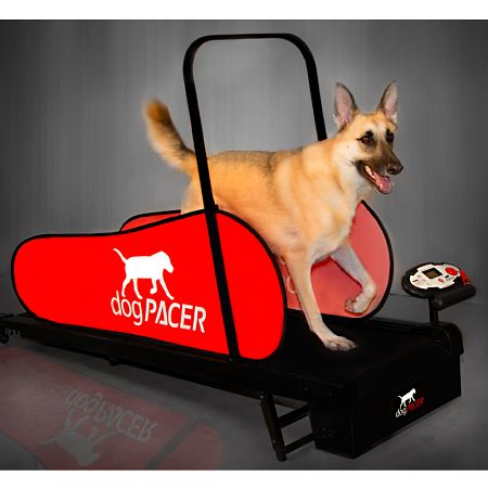 Tapis roulant dogPACER LF 3.1 per cani fino a 80 kg - eurodog