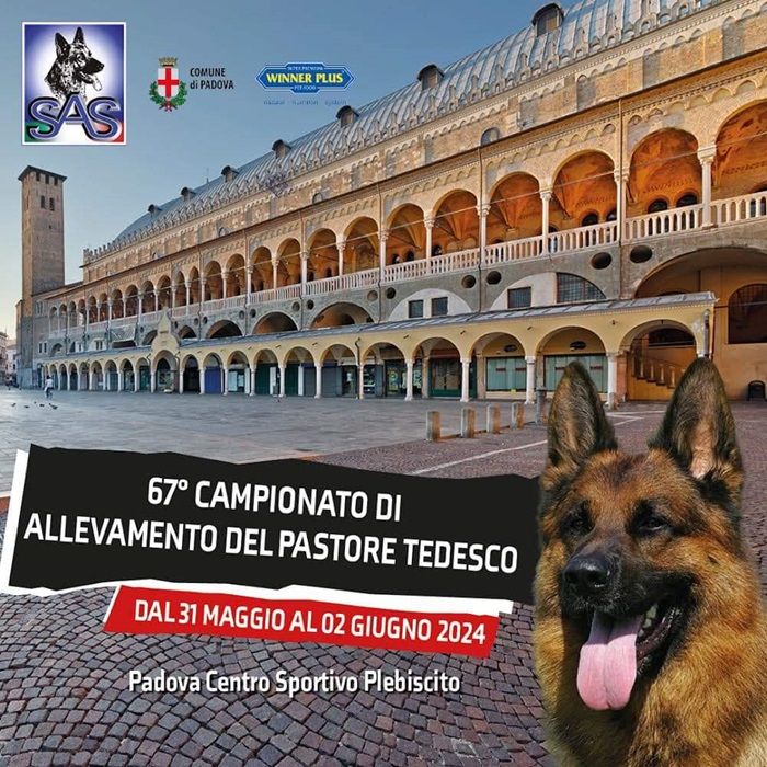 67° Campionato Sociale di Allevamento Pastore Tedesco, 2024 stand eurodog