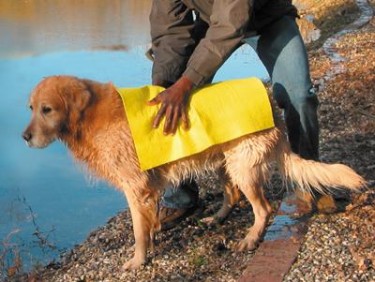 Panno asciugarapido per cani