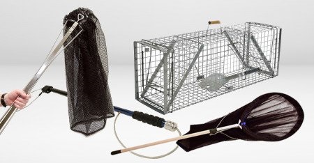 attrezzature per catturare cani, gatti e animali selvatici