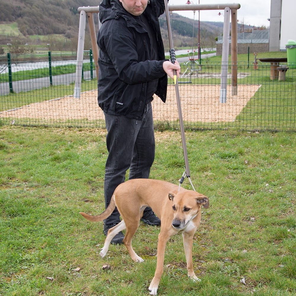 Bastone cattura cani con dispositivo anti strangolamento eurodog