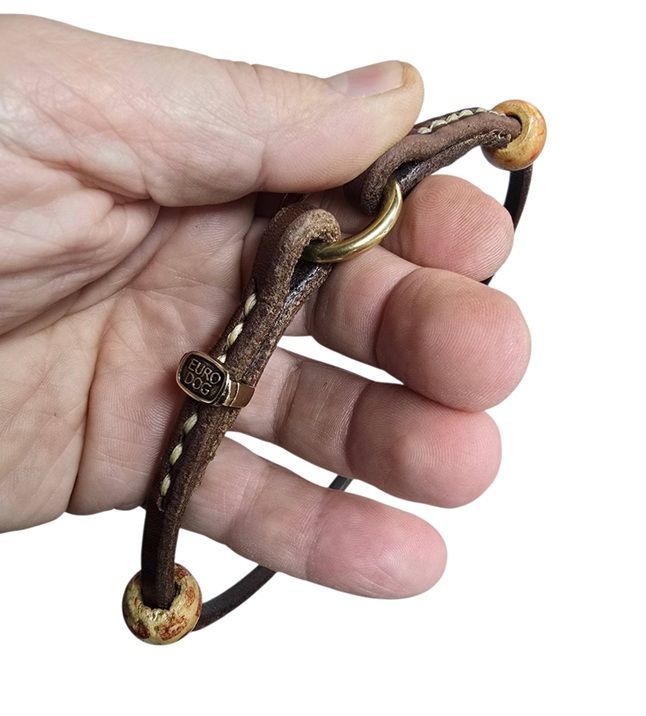 Collare porta tag Medaglietta per cani, personalizzati &egrave; su misura per il tuo cane