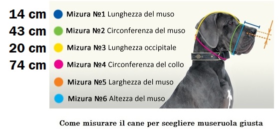 Museruola a cestello in filo metallico nichelato per Bassotto Museruola per  cane di razza Bassotto [M9###1061 Museruola a cestello (12-13)] - €42.90 :  fordogtrainers, negozio per cani, accessori per cani, articoli per