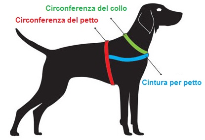 Cintura di sicurezza per cani: quale scegliere?