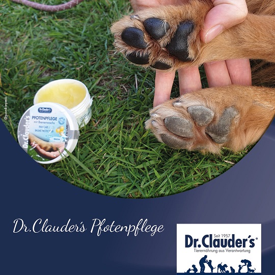 Crema per la cura dei cuscinetti di cani e gatti dr.clauder's 1