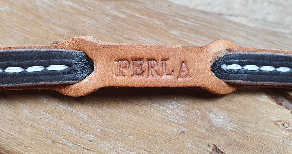 guinzaglio in cuoio intrecciato con nome inciso del tuo cane personalizzato su misura eurodog