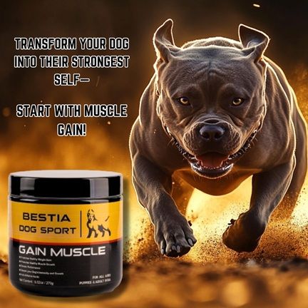 integratore per cani favorire un sano aumento di peso e lo sviluppo muscolare bestia dog sport