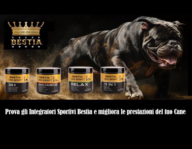 Integratori supplementari per cani sportivi Bestia migliora le prestazioni del tuo cane
