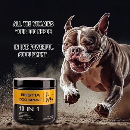 salute del tuo cane in dieci aree cruciali, tra cui digestione, sistema immunitario, pelle, pelo, articolazioni e ossa