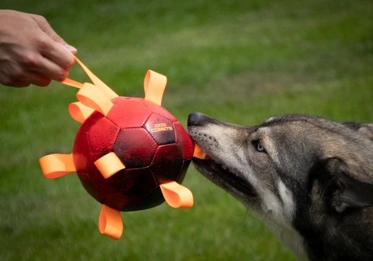 Palla gioco Divertimento per Cani - Dog Comet Hypernova