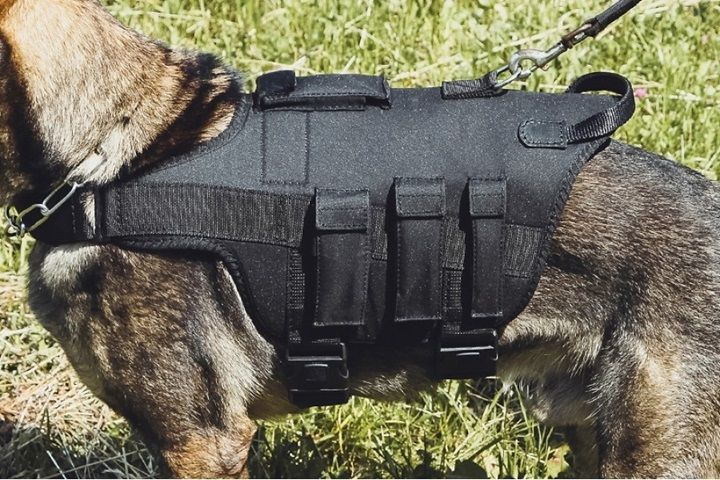 Pettorina tattica per cani da servizio Militaria K9 - eurodog