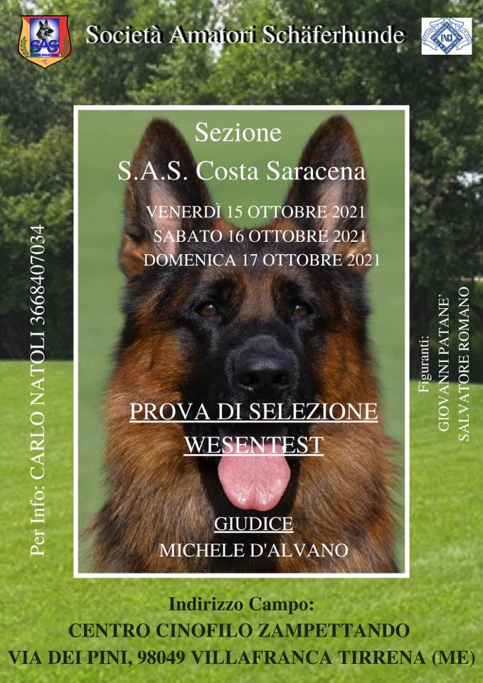 Raduno Nazionale del Pastore Tedesco S. Costa Saracena 17 Ottobre 2021 Eurodog