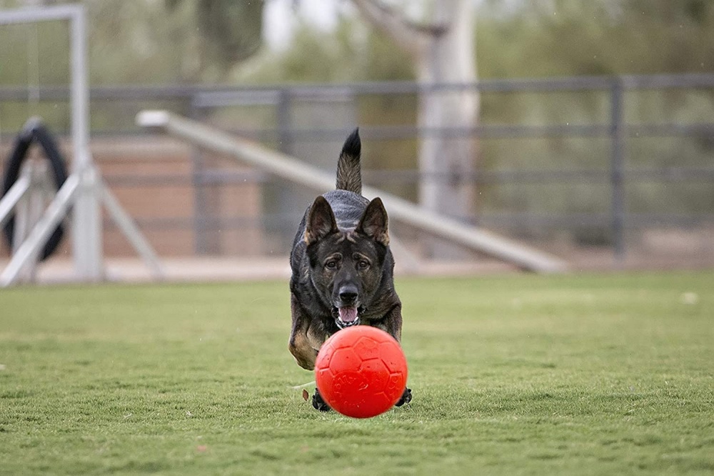 Pallone Jolly Soccer Ball Large per cani