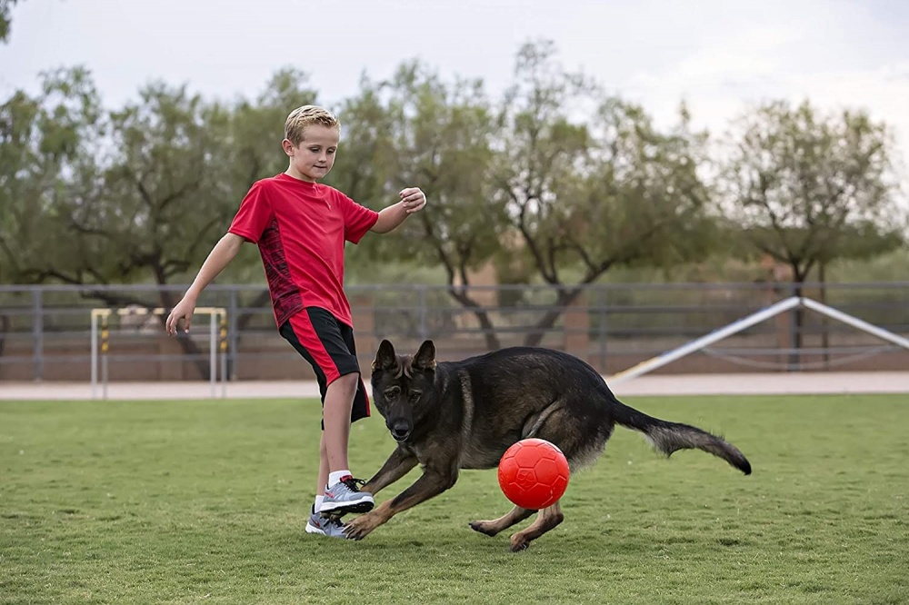 Pallone galleggiante Jolly Soccer Ball Large per cane