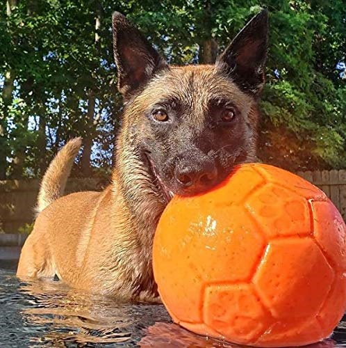 Pallone Jolly Soccer Ball Large per malinois