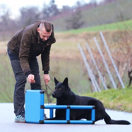 Sporthund Q-Box, per Addestramento, Obbedienza, Attacco, Esercizi del tuo cane 