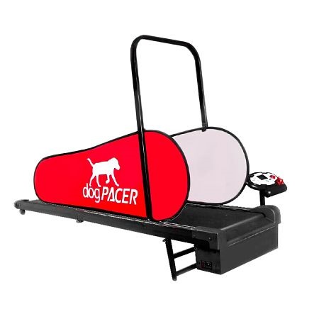 Il tapis roulant è adatto per cani di grossa taglia fino a 80 kg.